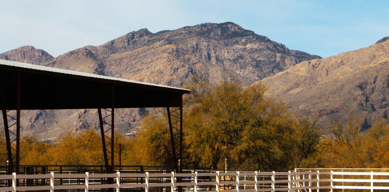 Horse shelters and paddocks with mountains behind