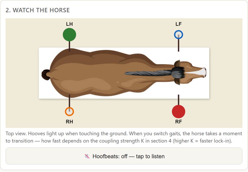 Screenshot of the Horse Gait Lab app showing a horse seen from above