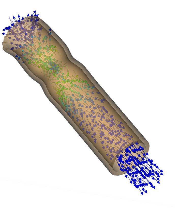 Simulation of blood cells moving through a tubular heart